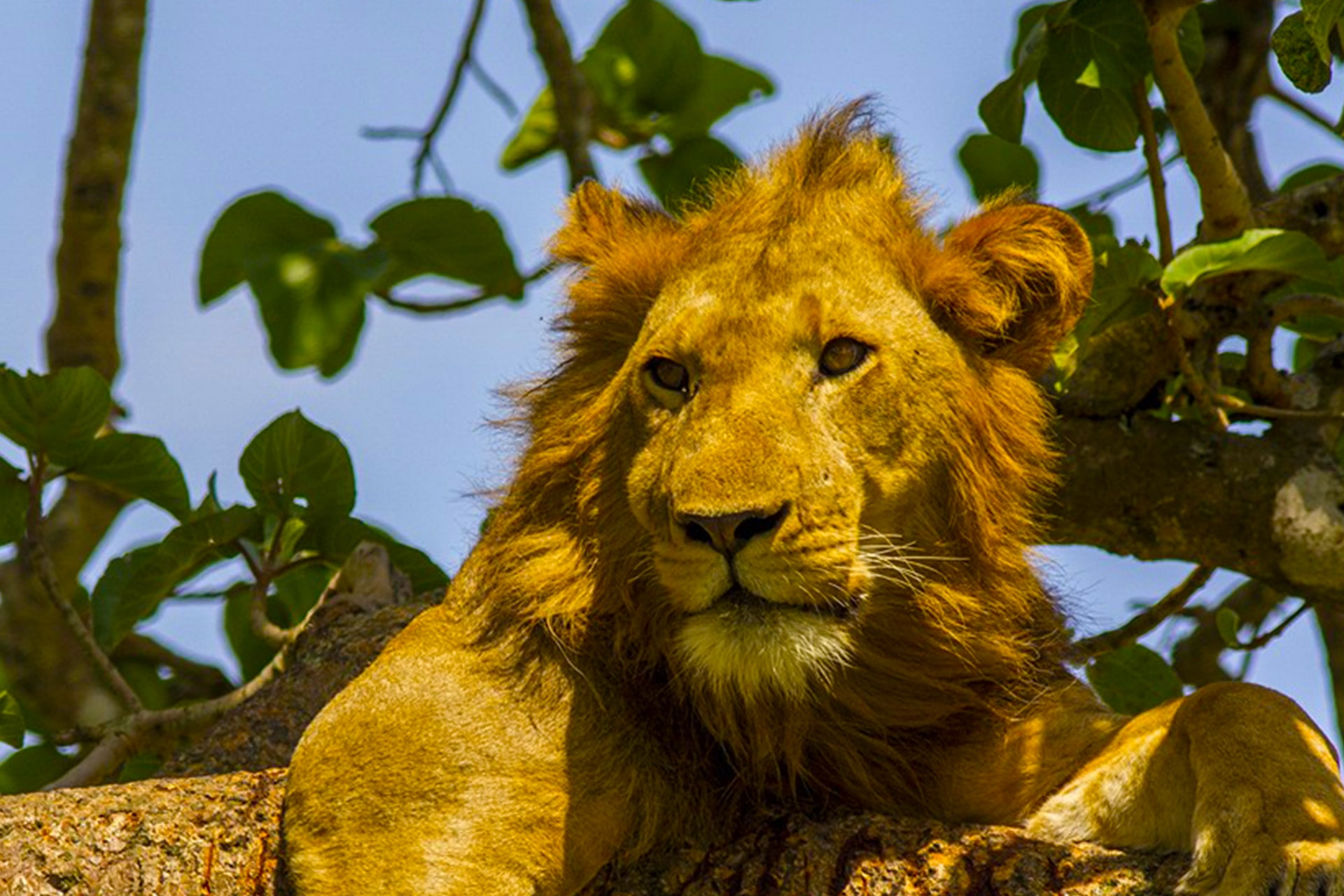 3 days 2 nights Kidepo Valley National park